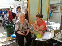 Fajhatározásra várva