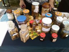 Készítmények a fagyasztók előtti életből