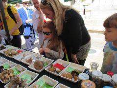 A kő nehezék lassan állandó segédeszköz lesz