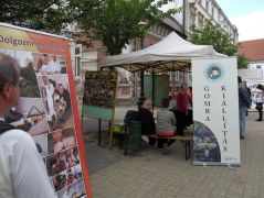 A standunk Abaújvárról jövet nézve