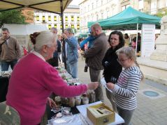 Kifestő gombaábrák - otthon ki lehet színezni