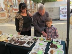 Vannak, akik csak nézelődni szeretnek