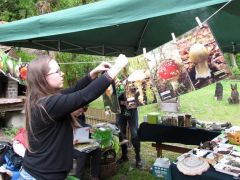 A fotókat most így mutattuk meg