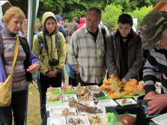 Szépen szaporodott a kiállítási fajszám