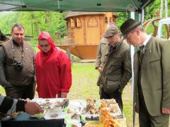 Erdőjárók - nem idegen nekik a téma