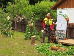 Téveszme oszlatás a vérebekről