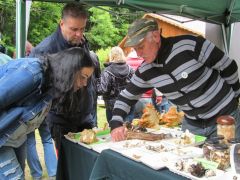 És aztán mehet minden tovább...