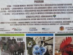 "...gombát tettem a kosárba" - a programban