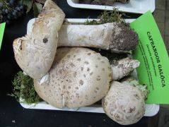 Idei első találatunk - jó helyre kerültek