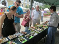 Sör beszerezve, lehet nézelődni...