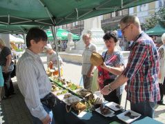 Lassan elkopik a taplósapka...