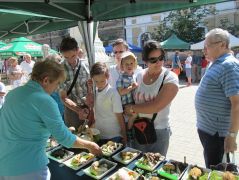 Keserűgombák dicső napjai!