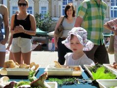 Legtündéribb látogatónk