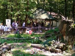 Itt voltunk, a fehér sül kifutója mögött