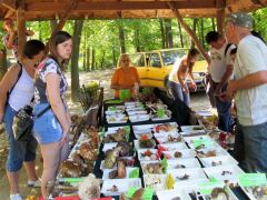 És itt vagyunk mi - előkészületek