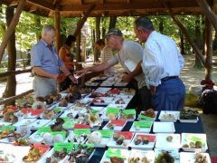 Ennyi fajt nem egyszerű gyorsan azonosítani