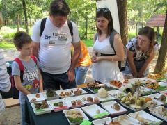 Ezt mind most szedték?