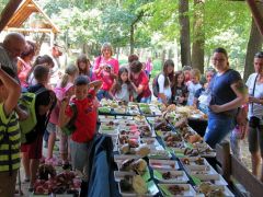 Tumultus - szervezett csoport lehetett