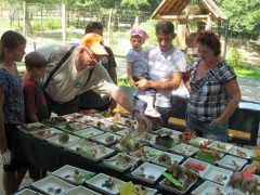 Pöfeteg és áltrifla - Rozibá` munkában