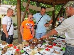 Tinóru és vargánya - János elmagyarázza