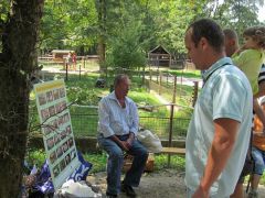 A védett gombás tablót kevesen nézték