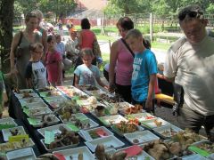 Nem volt megállásunk - az a jó!