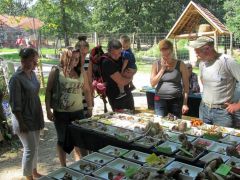 És aztán mehet minden tovább...