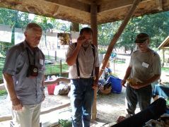 Attila átnézte a fajhatározás helyességét