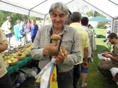 "Az aggteleki futóversenyen kapkodtam össze"