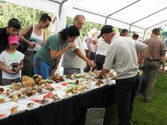 És még vendégek...