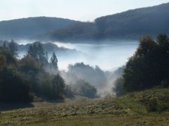Vízhordónk így látta a reggelt - szép nap lesz