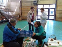 Fajokra válogatjuk az ömlesztett gyűjtést