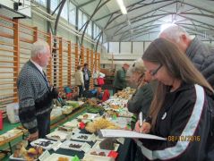 Diána csak mosolyog - a munka halad