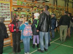 Léteznek ám védett gombák is!