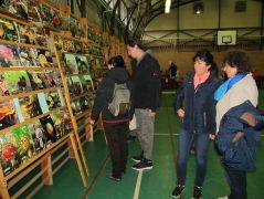 Meglepő felfedezések