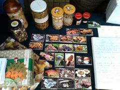 Vendégkönyv, mágnesek, készítmények