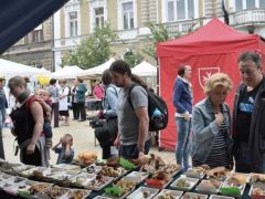 Jellemzően családosan jöttek - szeretjük!