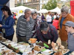 Spóráztatás - szégyenlősöknek megmutatjuk