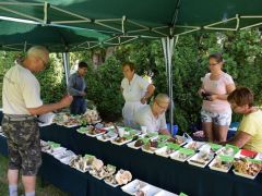 Mégiscsak van mit kiállítanunk!