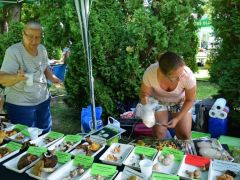 Rakjunk ki pár fotót is! Dia válogat.