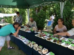 A minap.hu számára fotóznak!