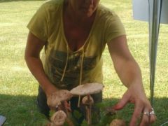 Csilla őzláb-díszt készít!