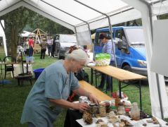 Éva a gombakészítményes terepasztalt rendezi