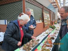 Sok szép gombánk van!