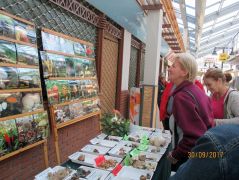 Fotónk is van róla!