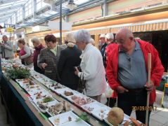 Kapanyélért jöttem, de ezt még megnézem!