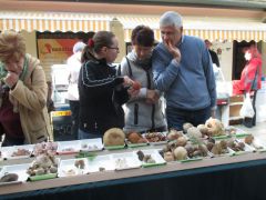 Ettől érdestinóru!