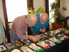 Korallgombák rejtelmei...