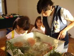 Galócák zár alatt