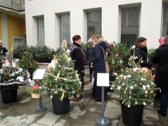 Középen a mi fánk